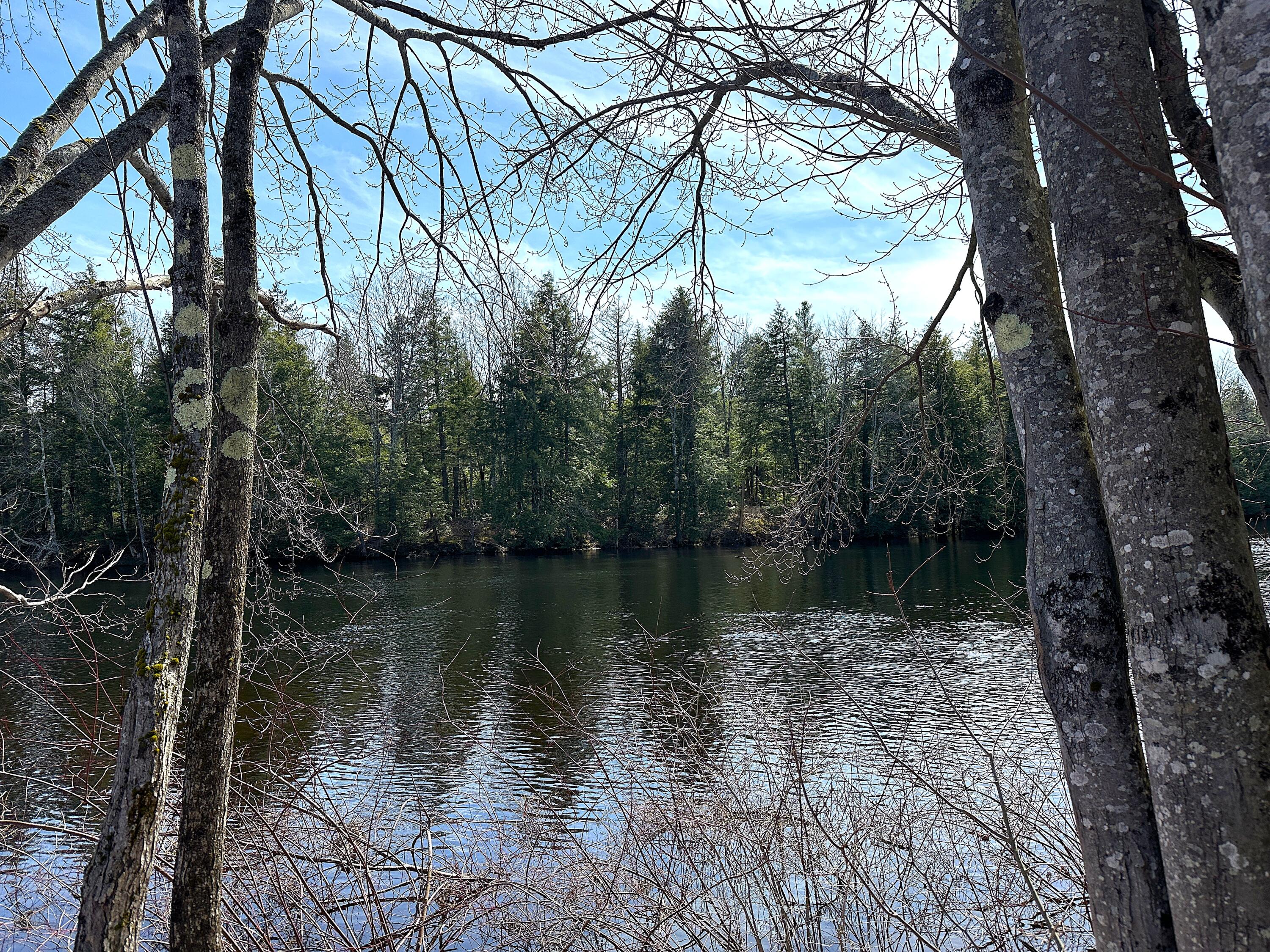 00 North Road Parsonsfield ME 04047