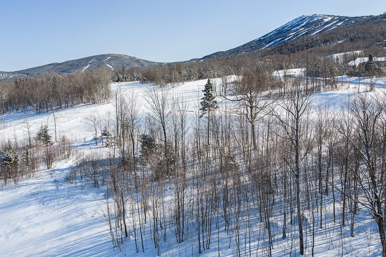R-51 Dutchman Woods Carrabassett Valley ME 04947