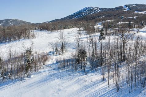 R-51 Dutchman Woods Carrabassett Valley ME 04947