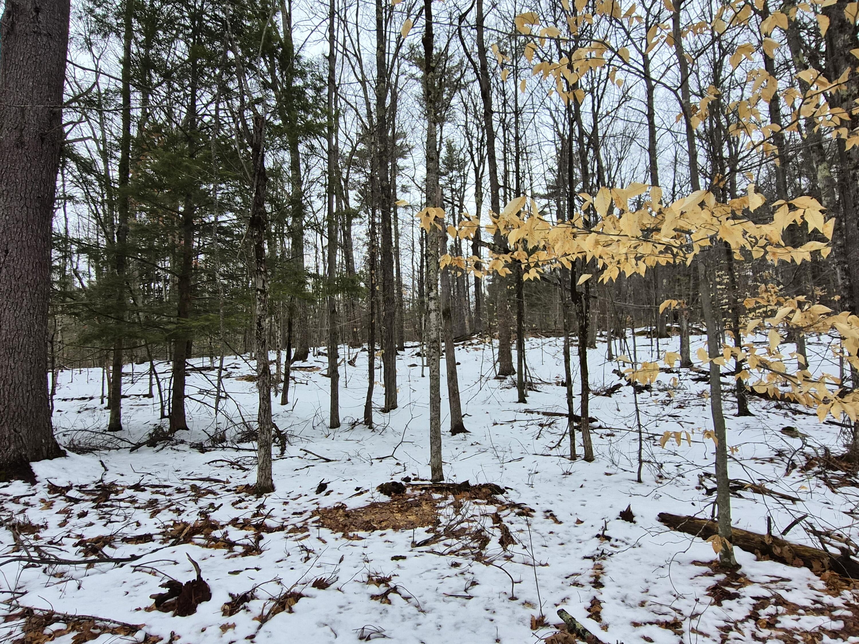 MR5 L8 Oak Hill Road Fayette ME 04349