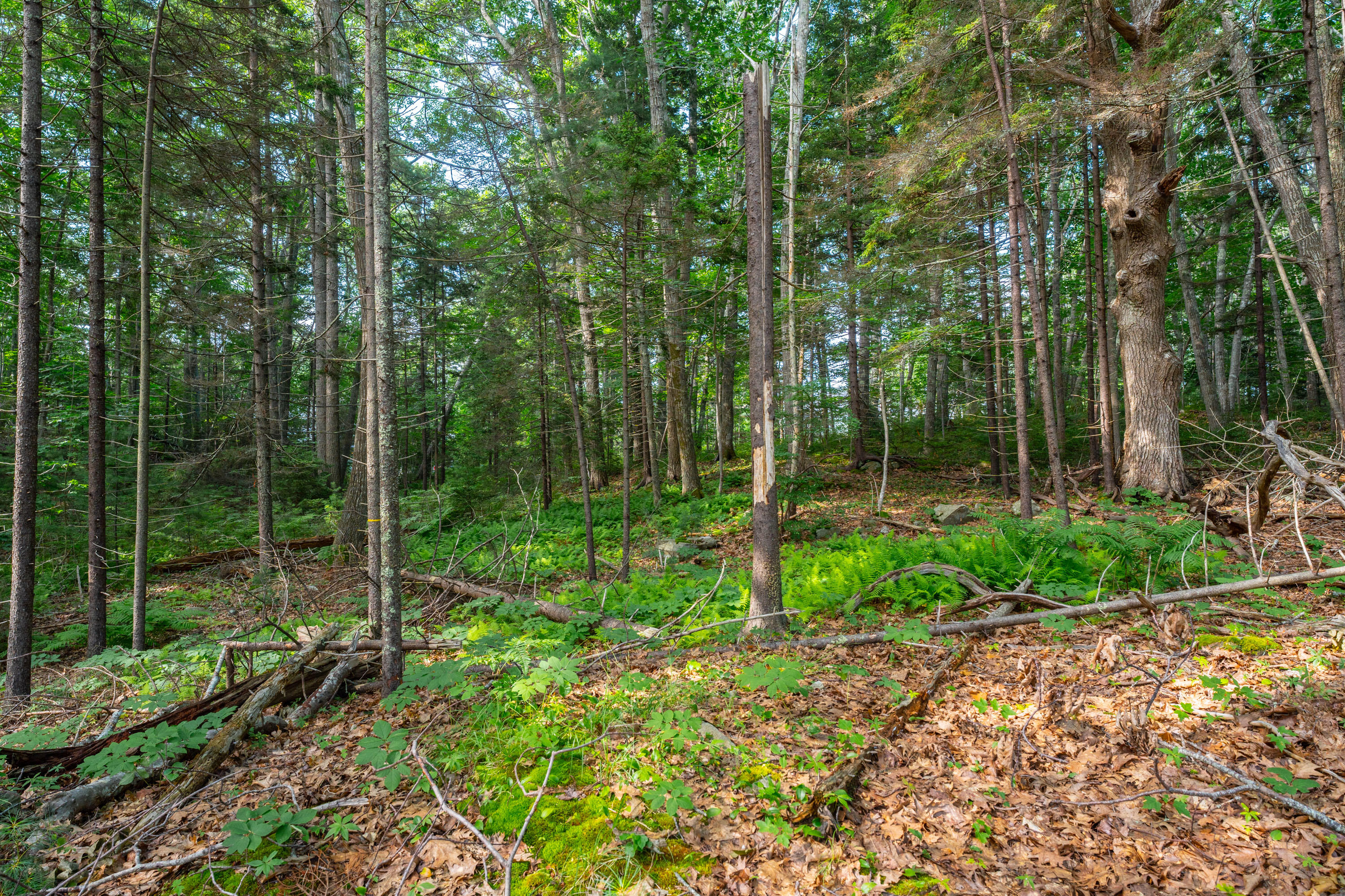 2A Ivy Lane Kennebunkport ME 04046