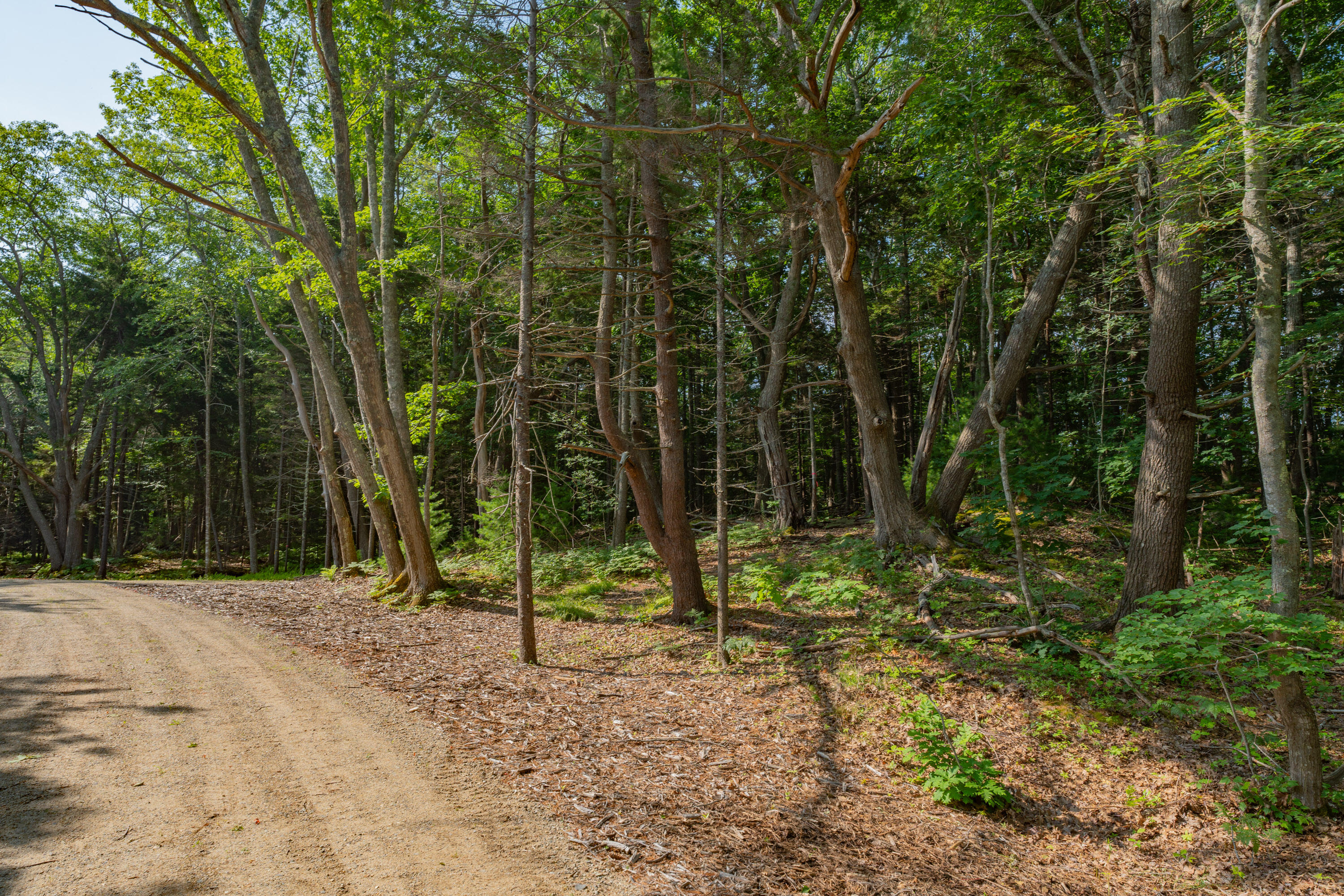 2A Ivy Lane Kennebunkport ME 04046