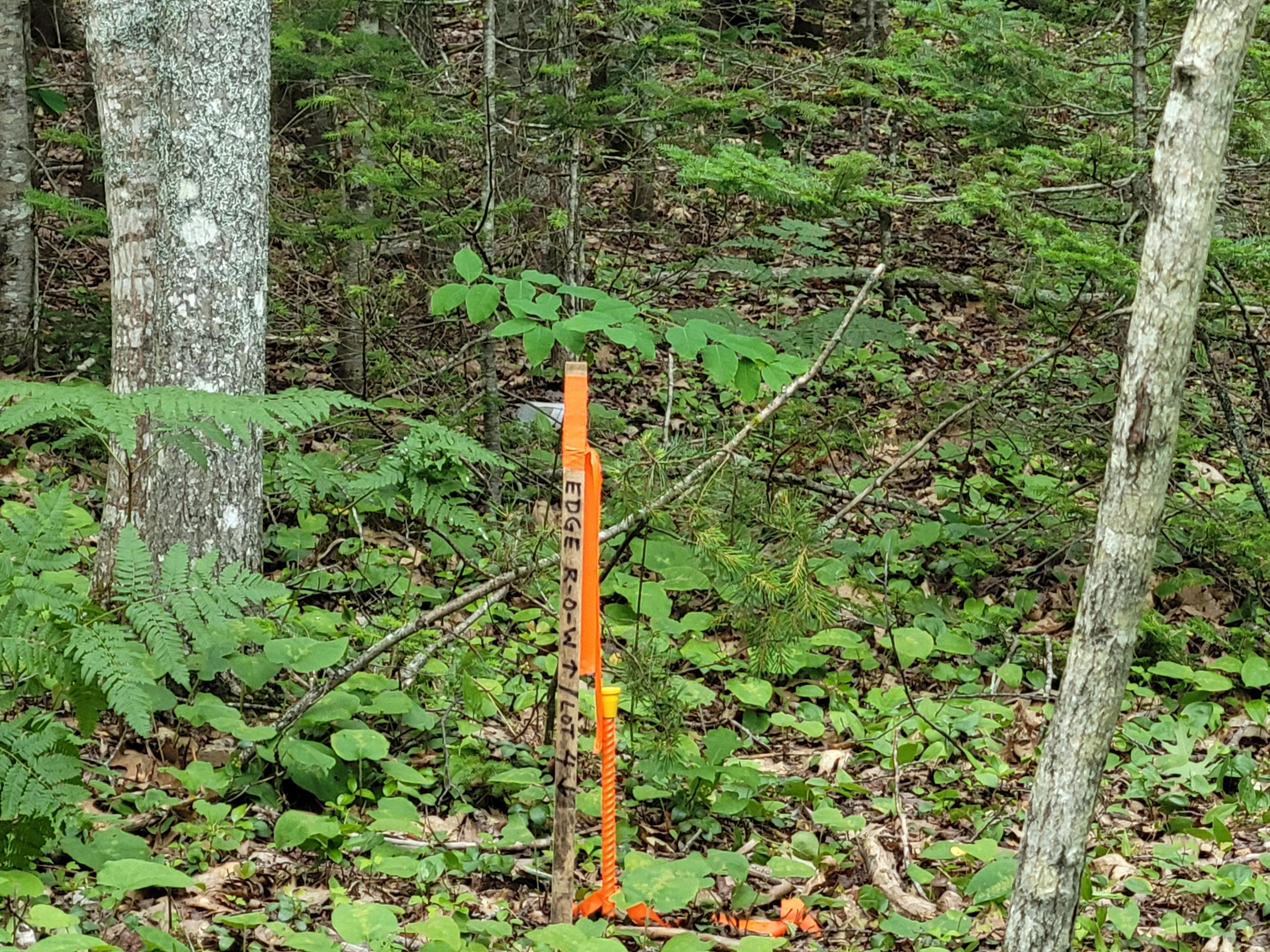 Franklin ME, 12 Matty Way