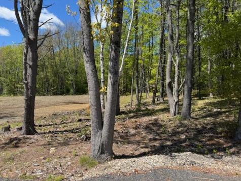 2-3 Fiddlehead Lane Old Orchard Beach ME 04064