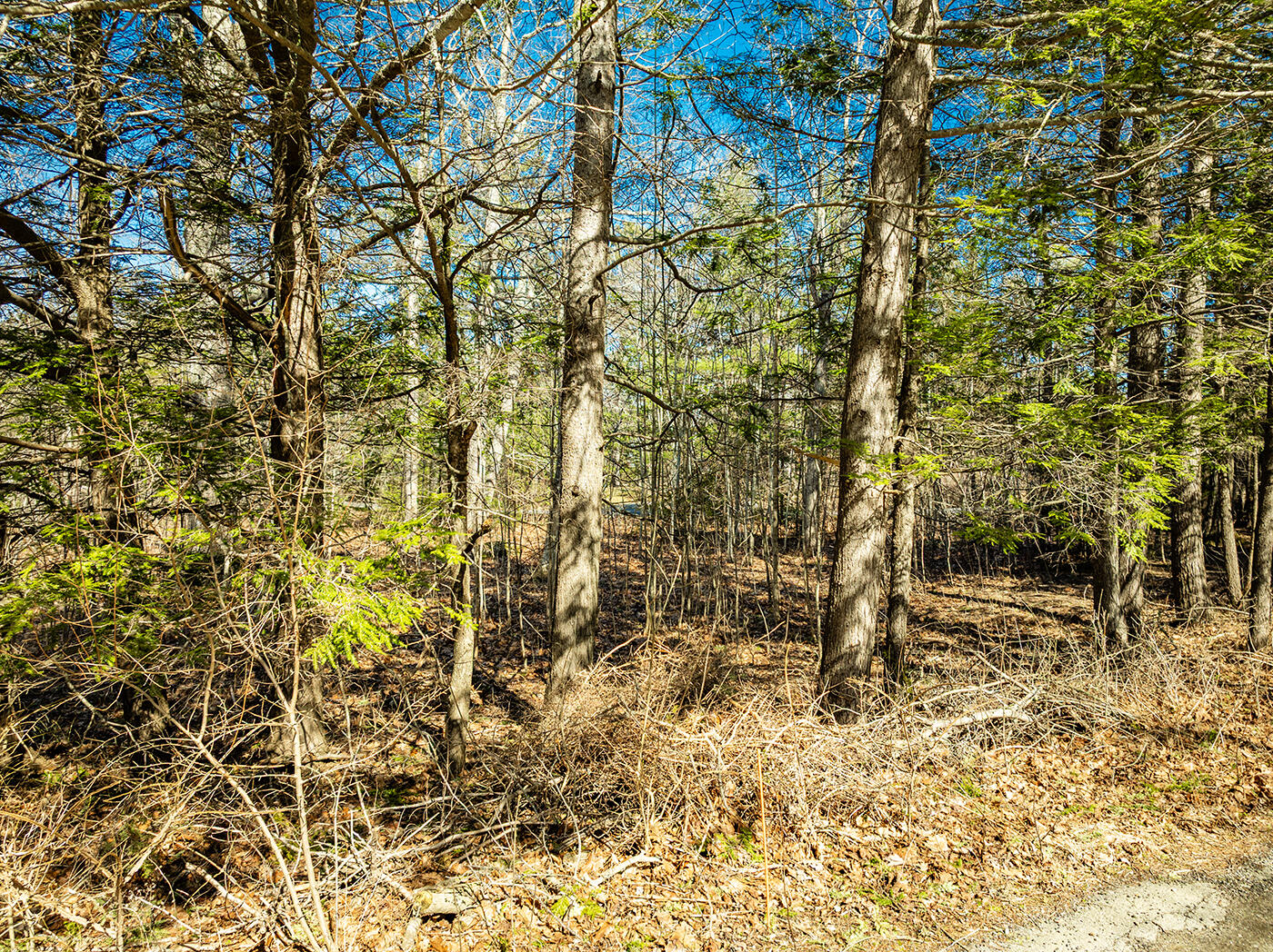 122,6-1 Timbercliffe Drive Camden ME 04843