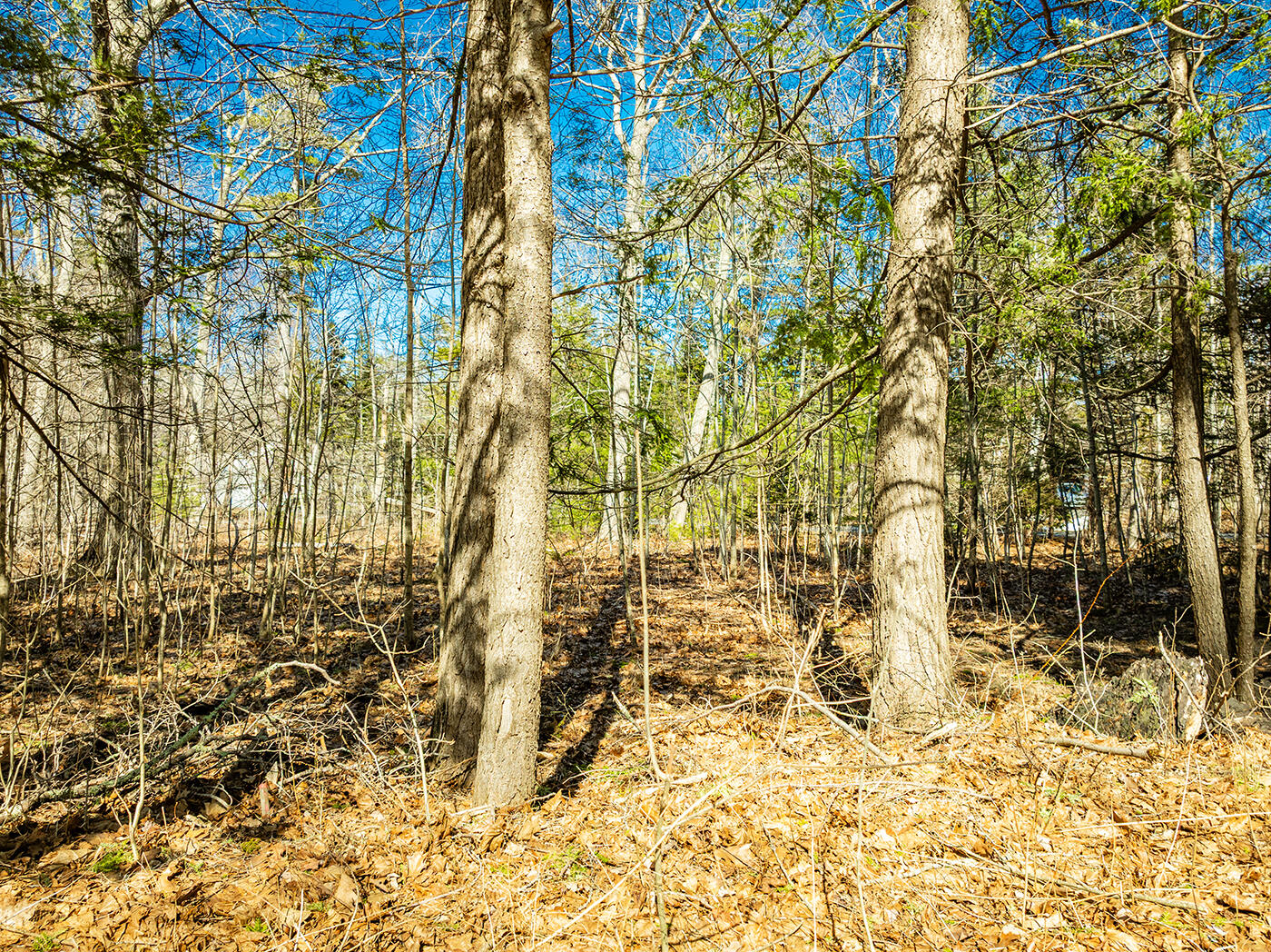 122,6-1 Timbercliffe Drive Camden ME 04843