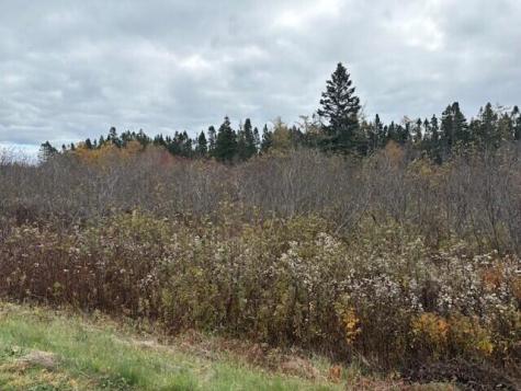 0 Boot Cove Road Lubec ME 04652