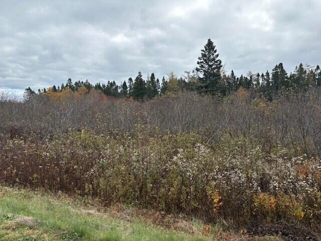 0 Boot Cove Road Lubec ME 04652