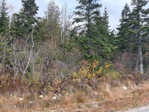 0 Boot Cove Road Lubec ME 04652