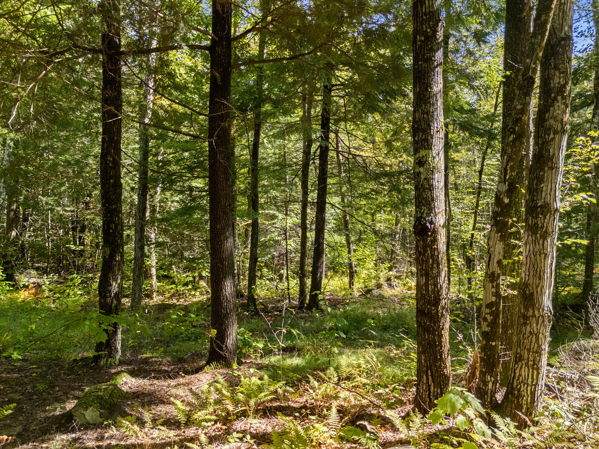 Lot #1 Millay Lane Union ME 04862