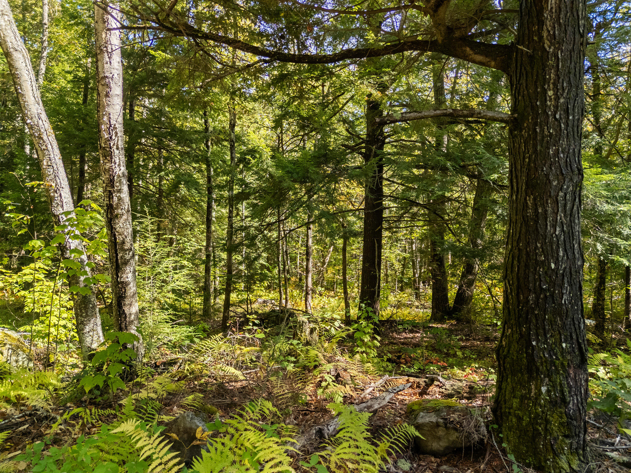 Lot #1 Millay Lane Union ME 04862