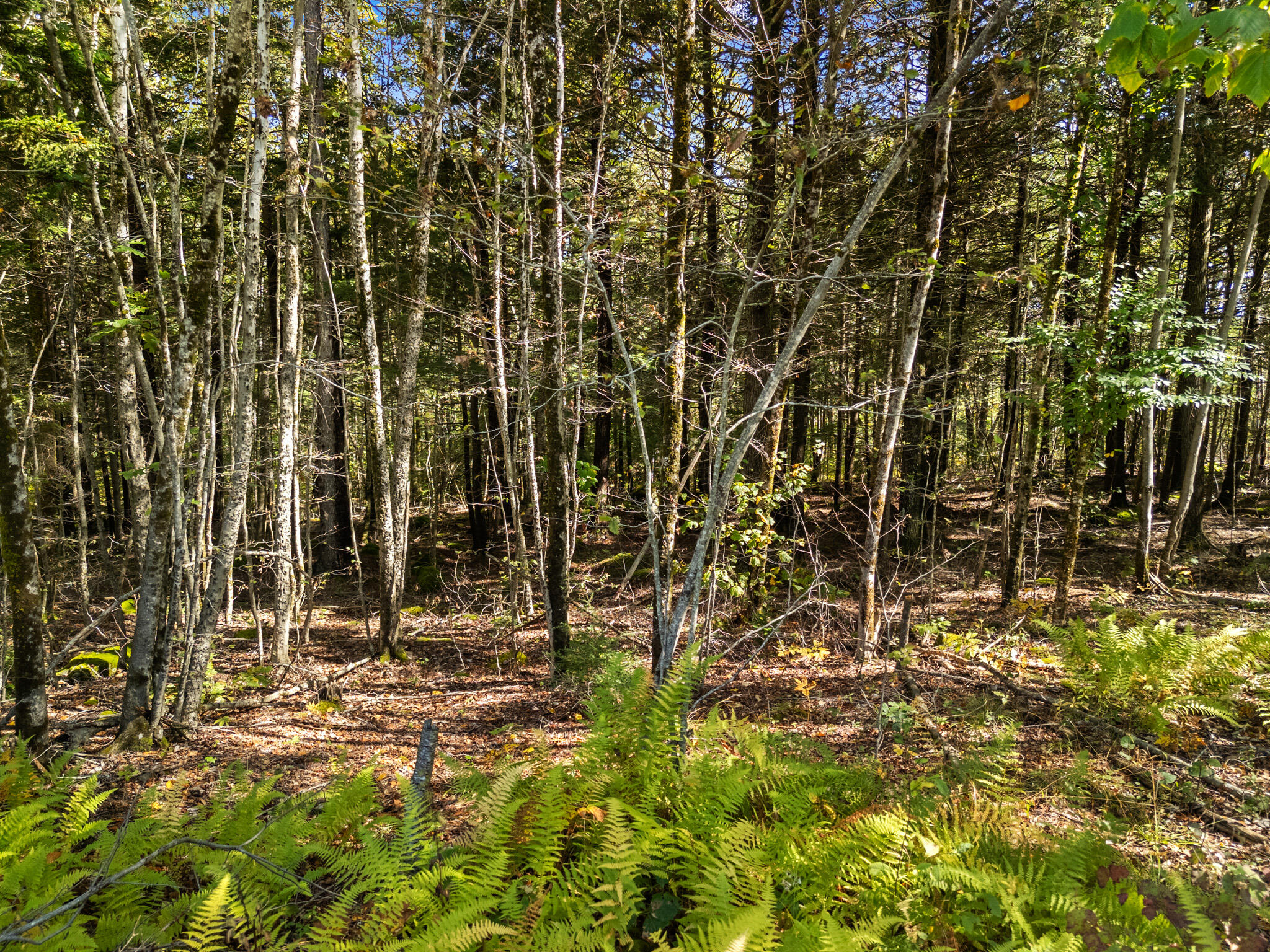 Lot #1 Millay Lane Union ME 04862