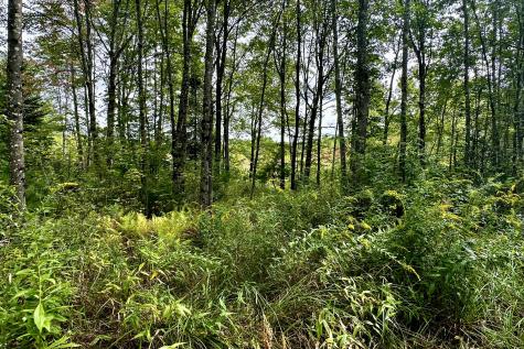 47C Spiritwind Farm Road Lebanon ME 04027