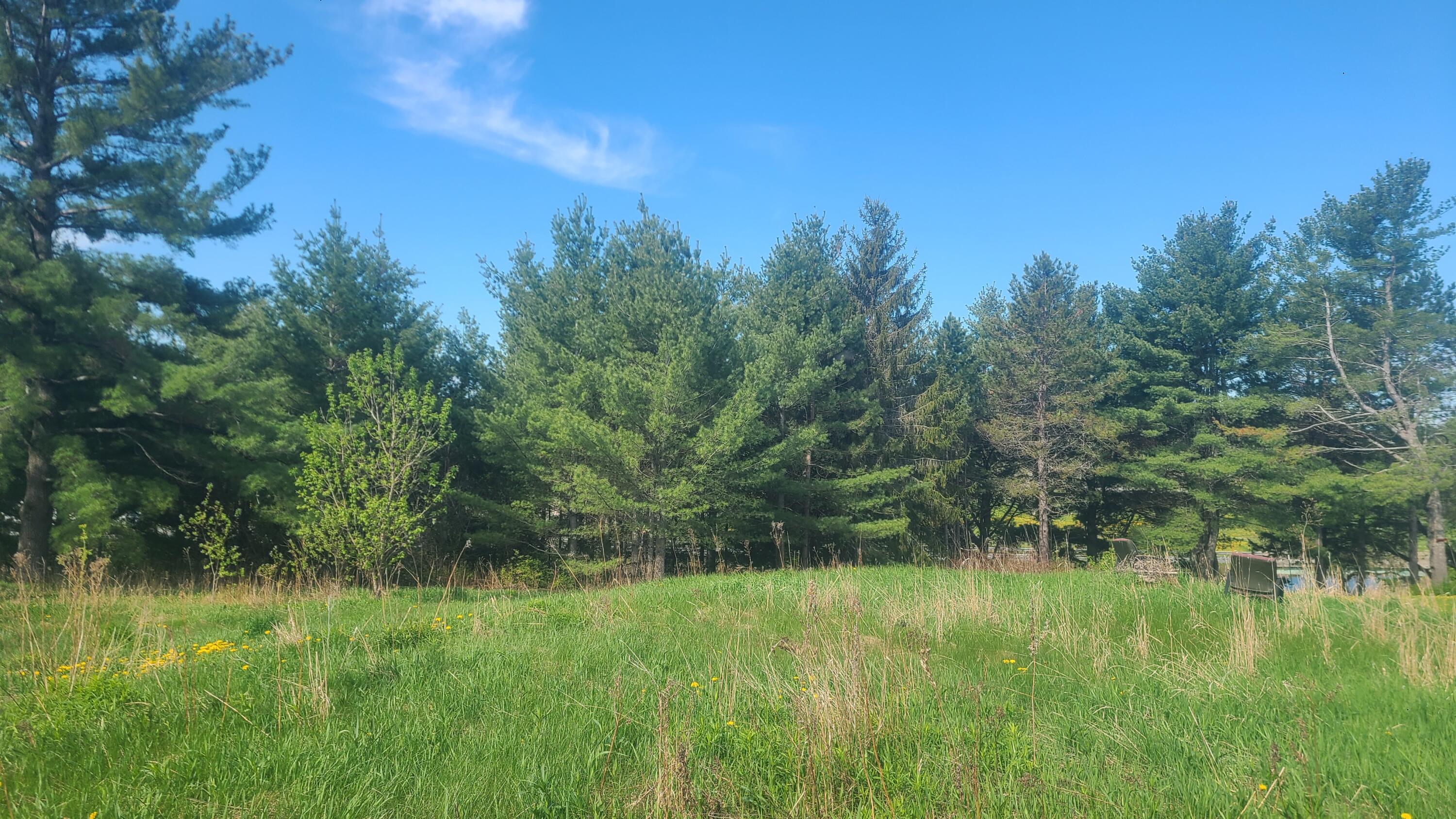 60 Pondview Street Limestone ME 04750