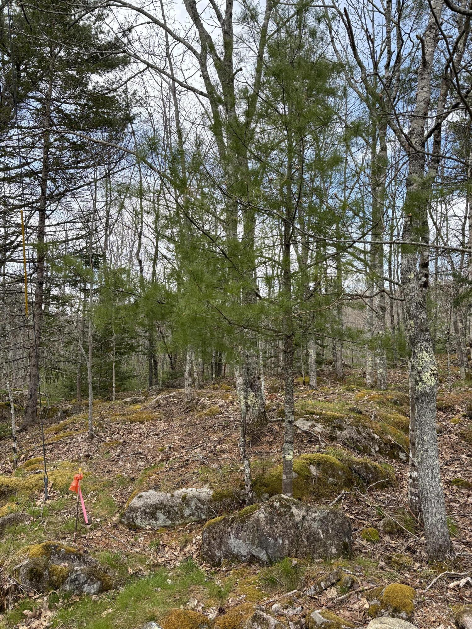 Lot 9 Aspen Drive South Thomaston ME 04858