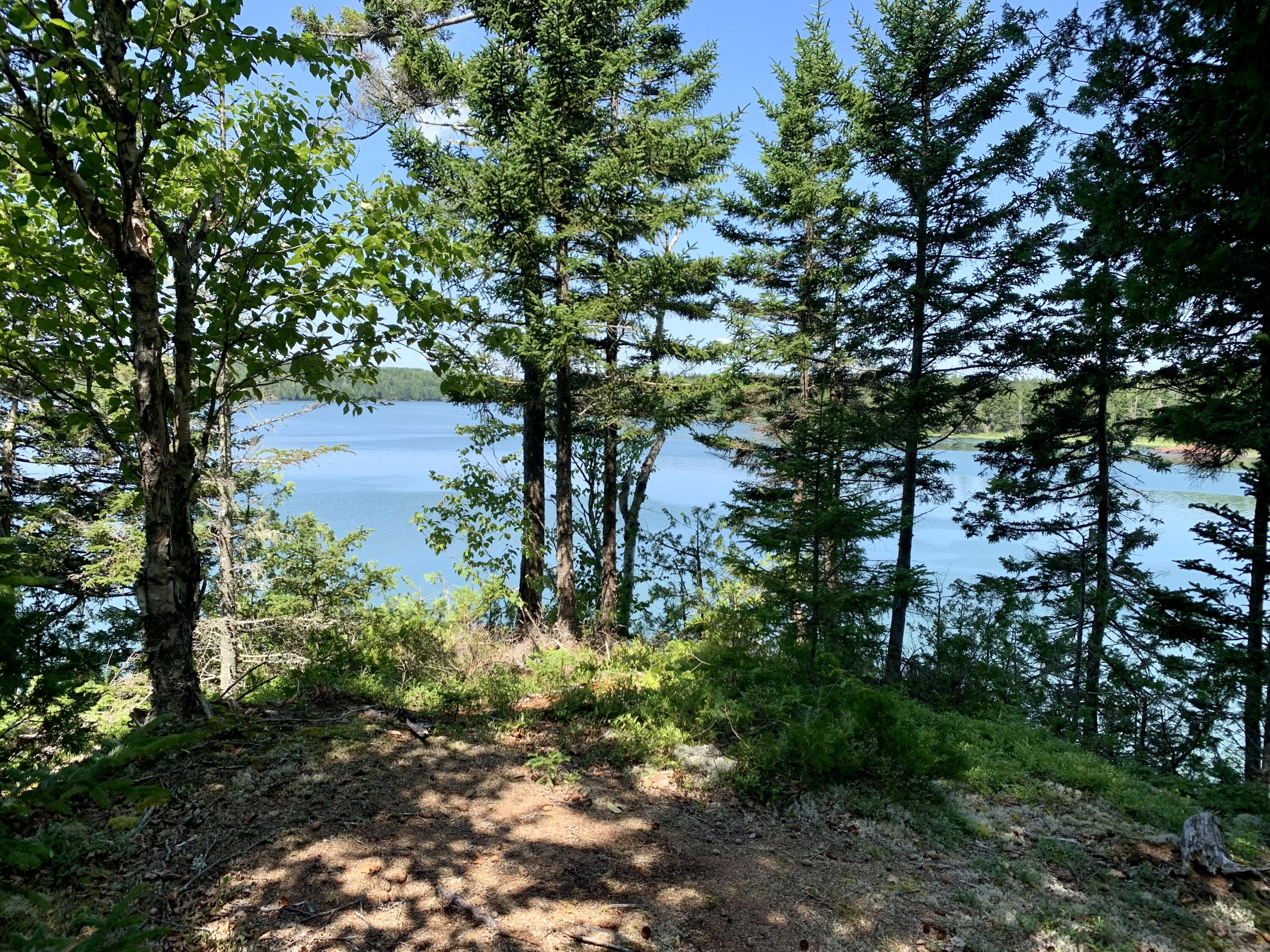 Lot 8 North Shores Road Lubec ME 04652