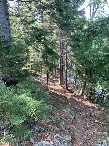 Lot 8 North Shores Road Lubec ME 04652