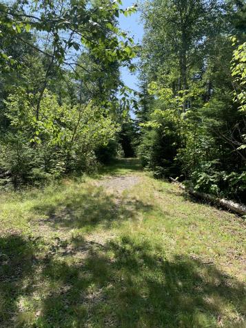 Lot 8 North Shores Road Lubec ME 04652