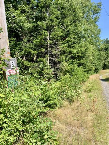 Lot 8 North Shores Road Lubec ME 04652