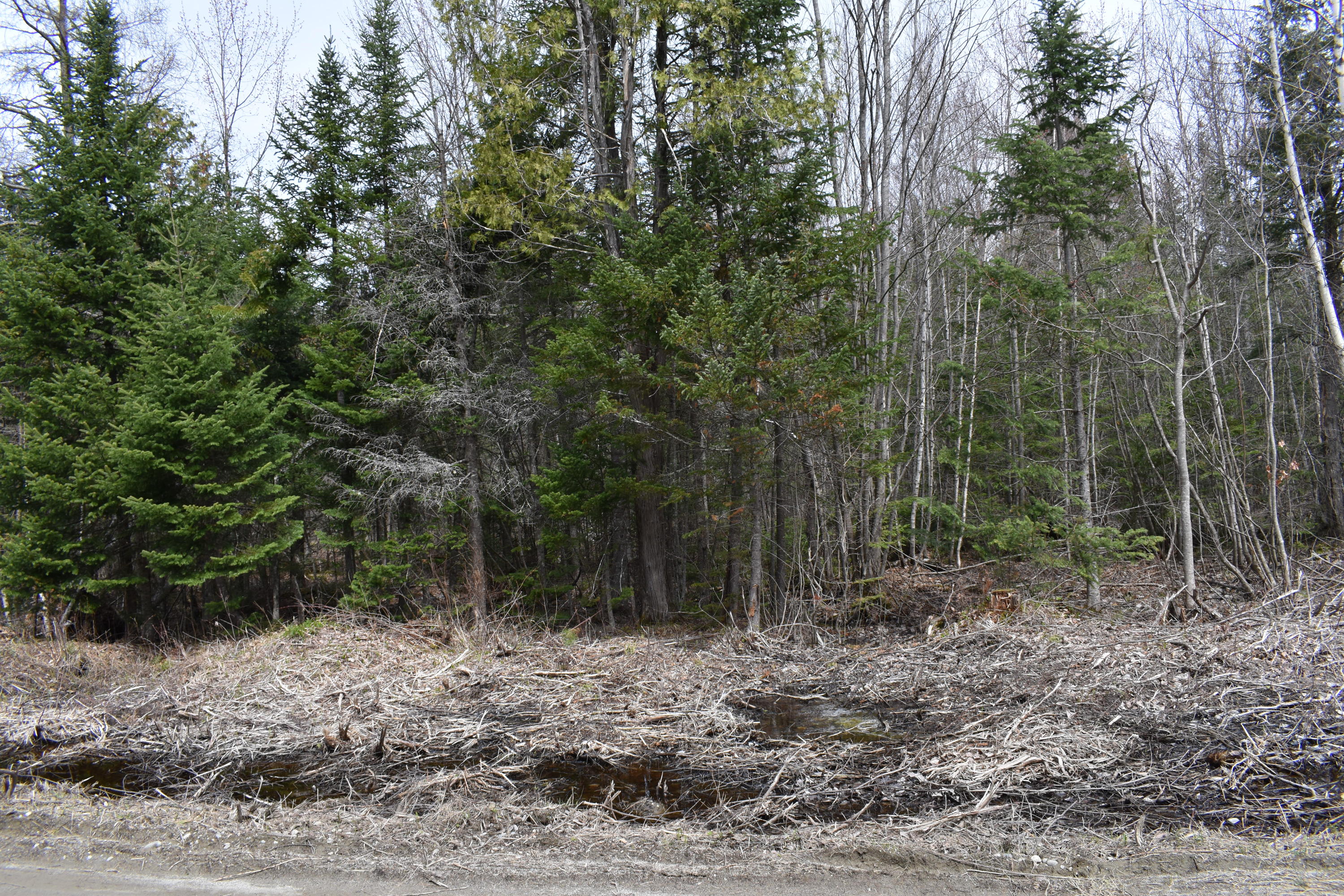 Lot 14 Meadow Brook Drive Belgrade ME 04917