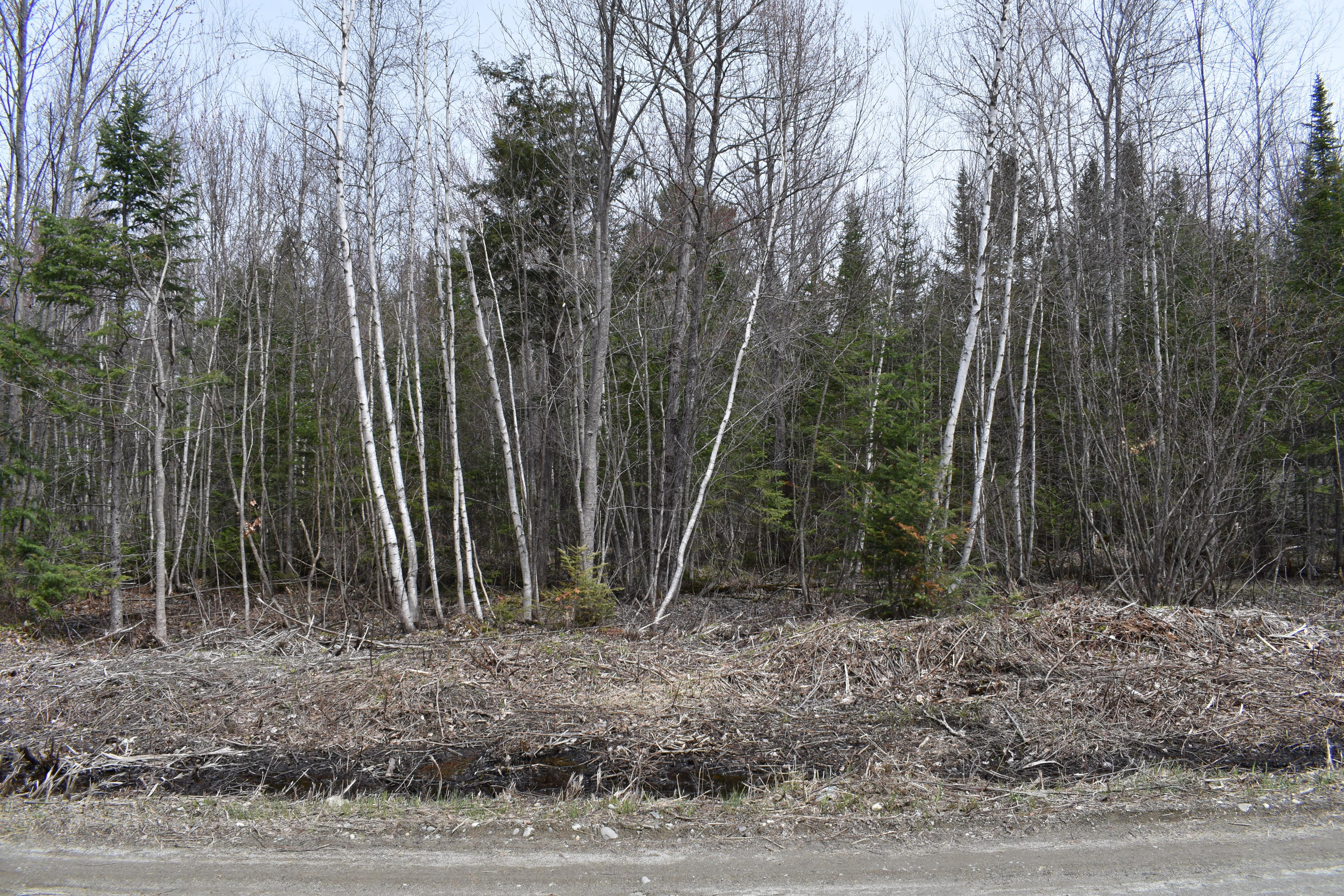 Lot 14 Meadow Brook Drive Belgrade ME 04917
