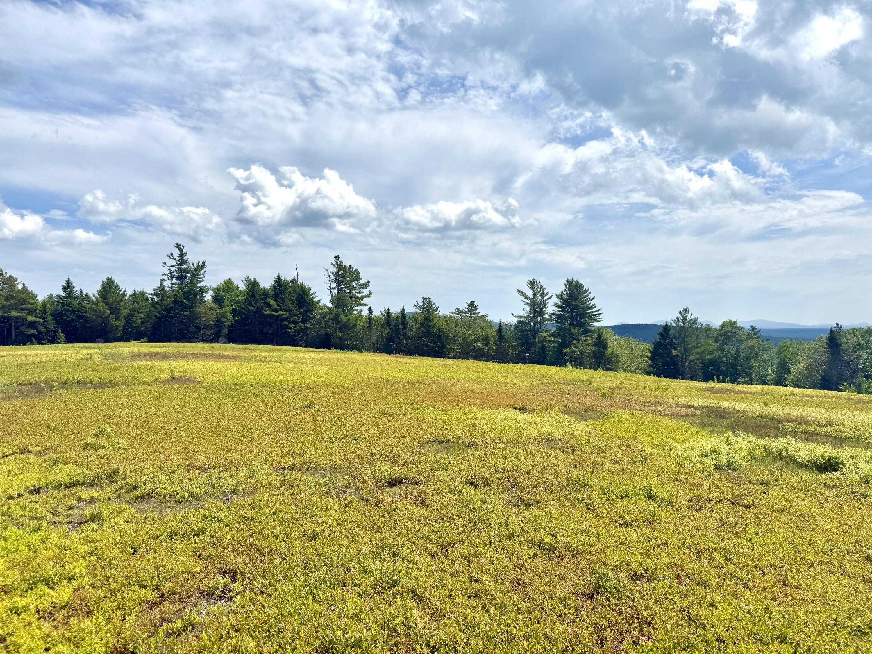 MAP13LOT11 Martins Ridge Road Franklin ME 04634