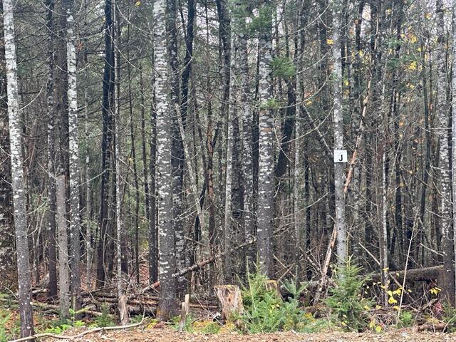 Lot I S Whitetail Way Greenville ME 04441