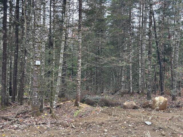 Lot I S Whitetail Way Greenville ME 04441