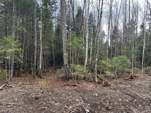 Lot I S Whitetail Way Greenville ME 04441