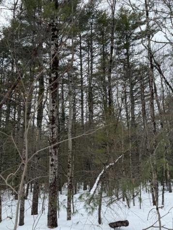 Lot 2 Willow Way Jefferson ME 04348