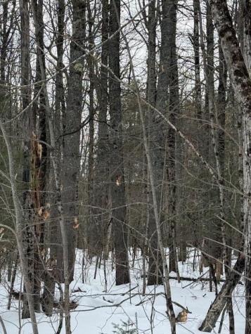 Lot 2 Willow Way Jefferson ME 04348