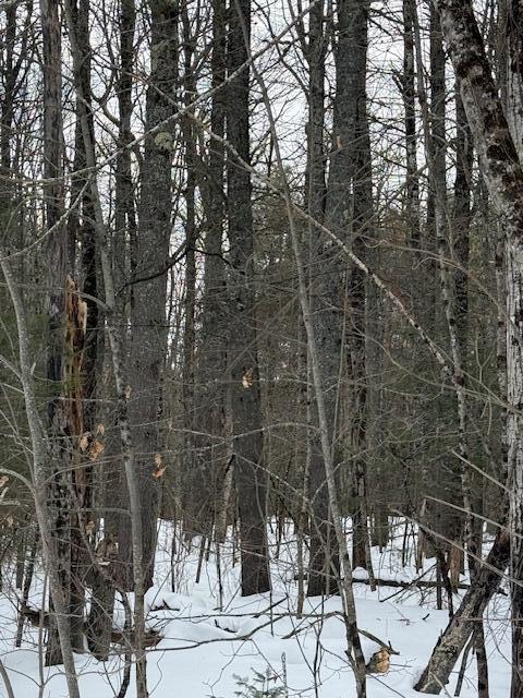 Lot 2 Willow Way Jefferson ME 04348