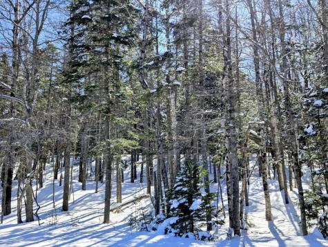 Lot 1 Main Street Sandy River Plt ME 04970