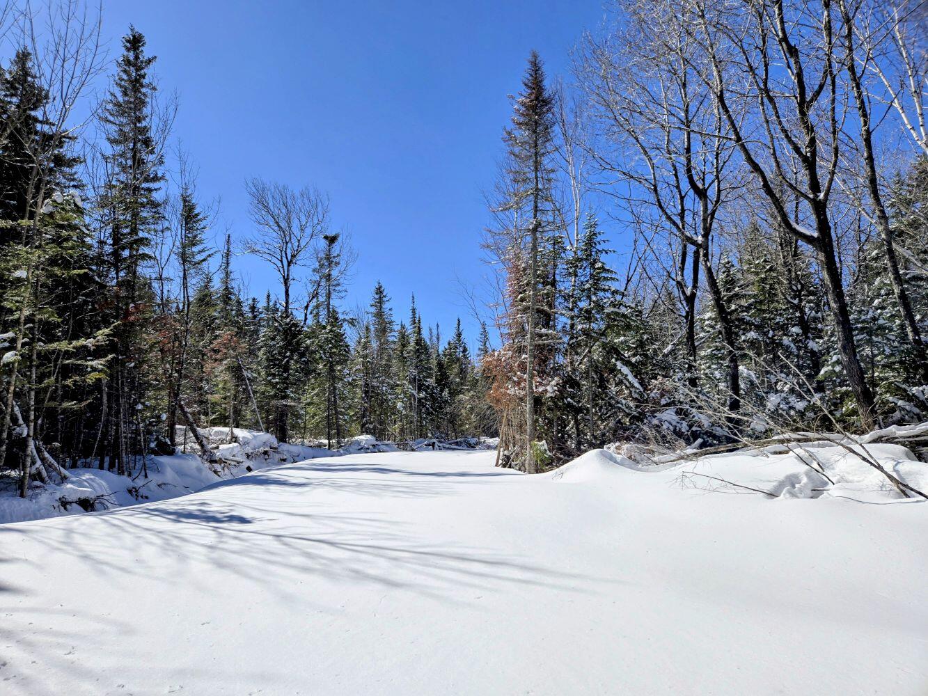 Lot 1 Main Street Sandy River Plt ME 04970