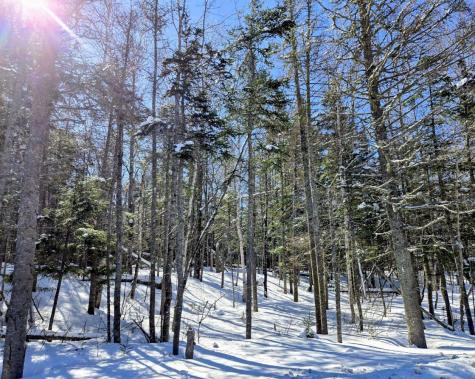 Lot 1 Main Street Sandy River Plt ME 04970