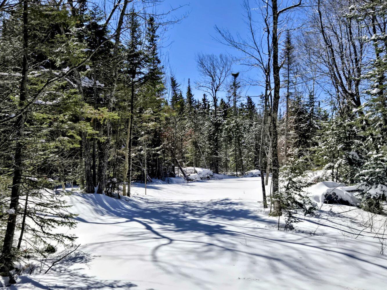 Lot 1 Main Street Sandy River Plt ME 04970
