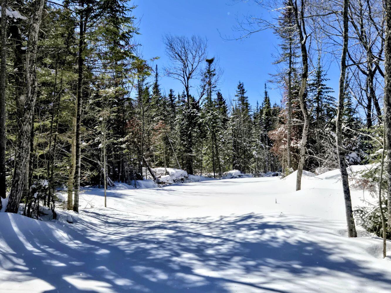 Lot 1 Main Street Sandy River Plt ME 04970