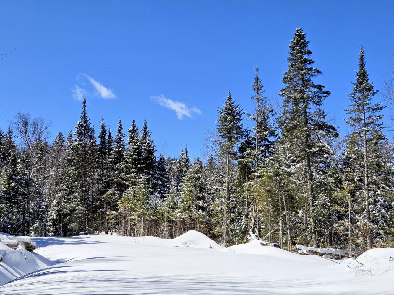 Lot 1 Main Street Sandy River Plt ME 04970