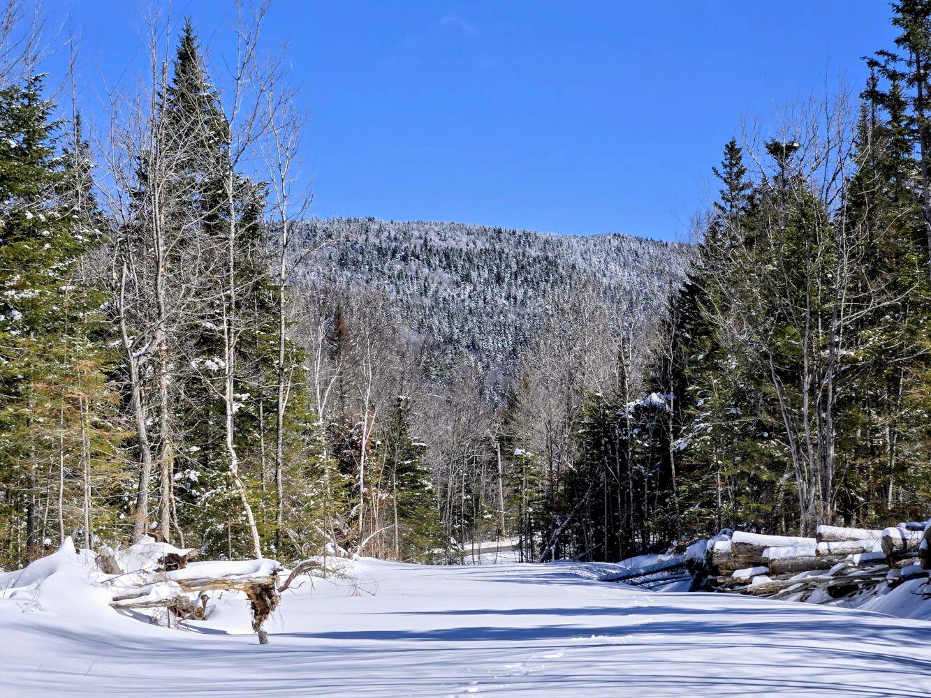Lot 1 Main Street Sandy River Plt ME 04970