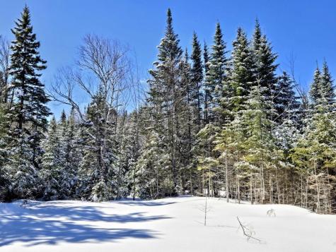 Lot 1 Main Street Sandy River Plt ME 04970