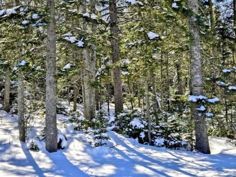 Lot 1 Main Street Sandy River Plt ME 04970