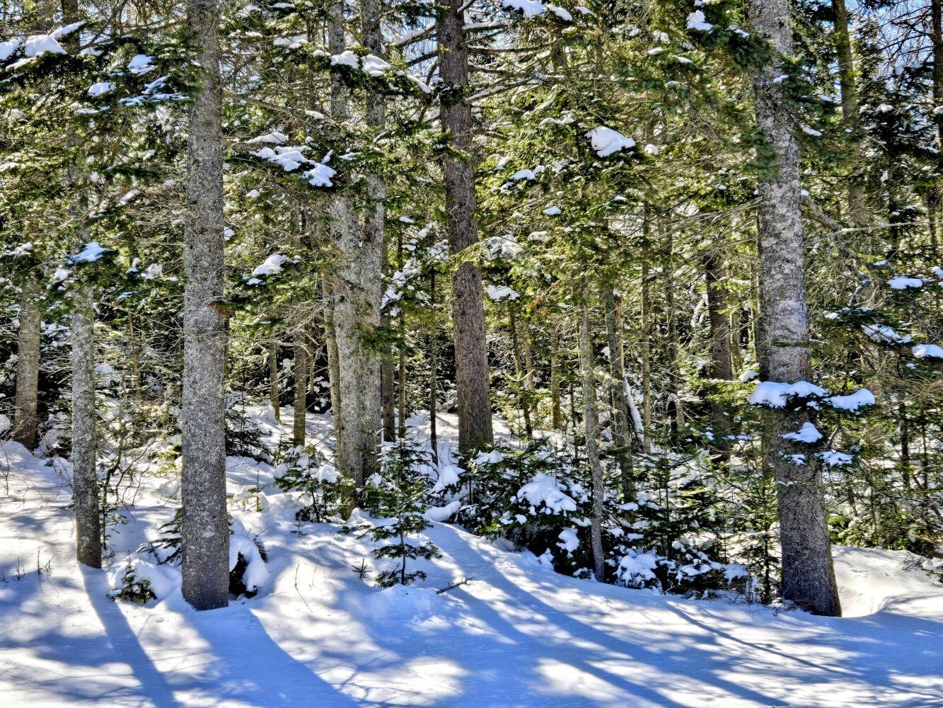 Lot 1 Main Street Sandy River Plt ME 04970