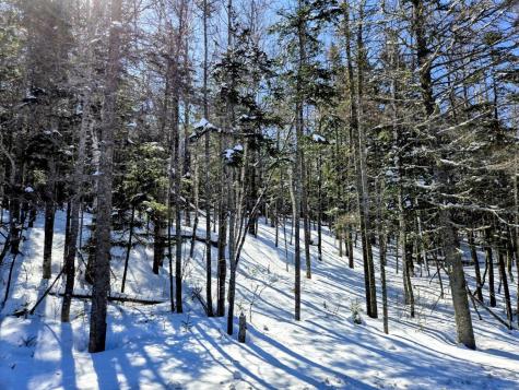 Lot 1 Main Street Sandy River Plt ME 04970