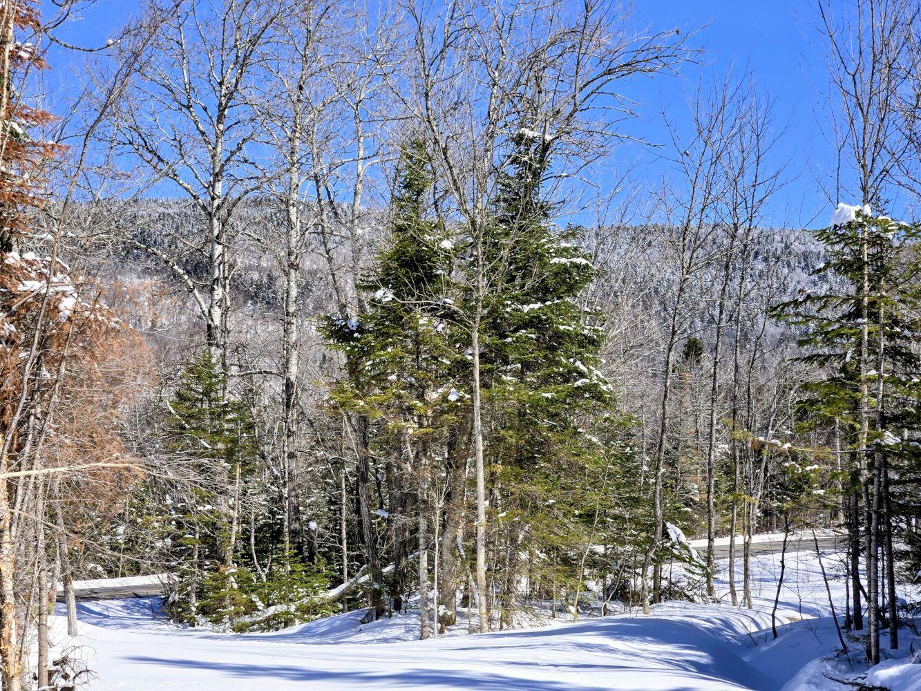 Lot 1 Main Street Sandy River Plt ME 04970