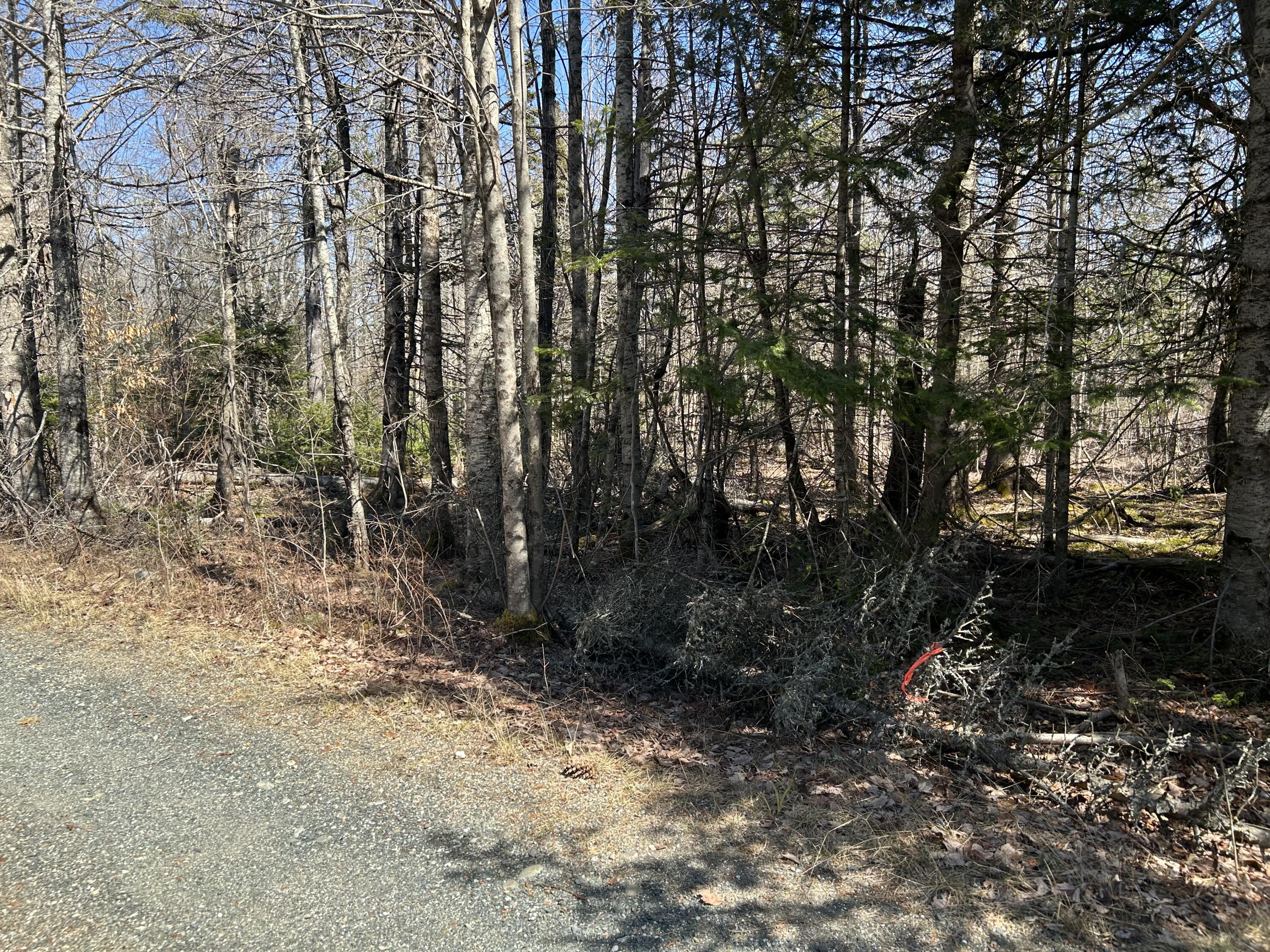 Lot 26a Us Highway 1 Hancock ME 04640