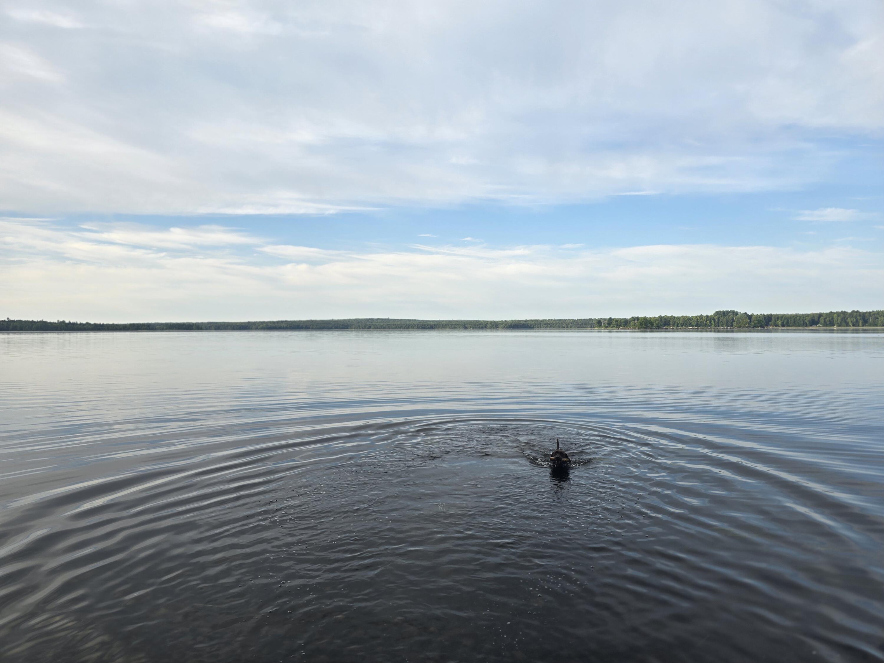 Lot 2 Townline Rock Road Island Falls ME 04747
