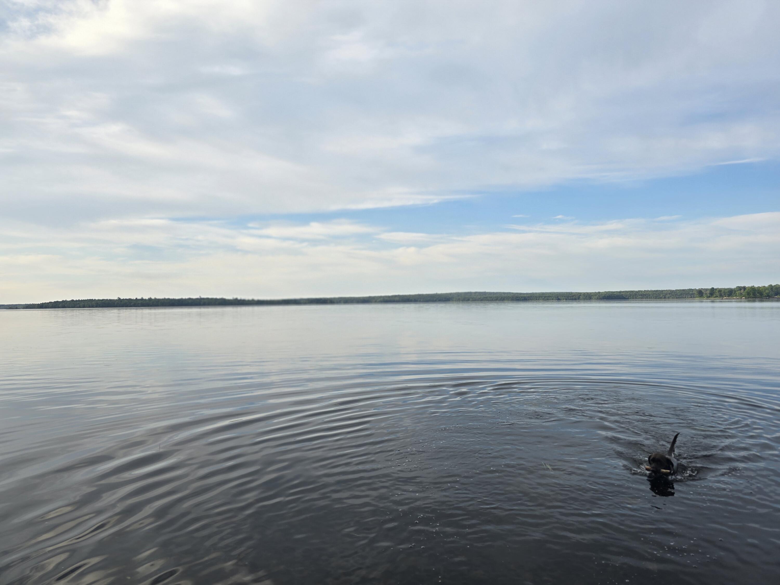 Lot 2 Townline Rock Road Island Falls ME 04747