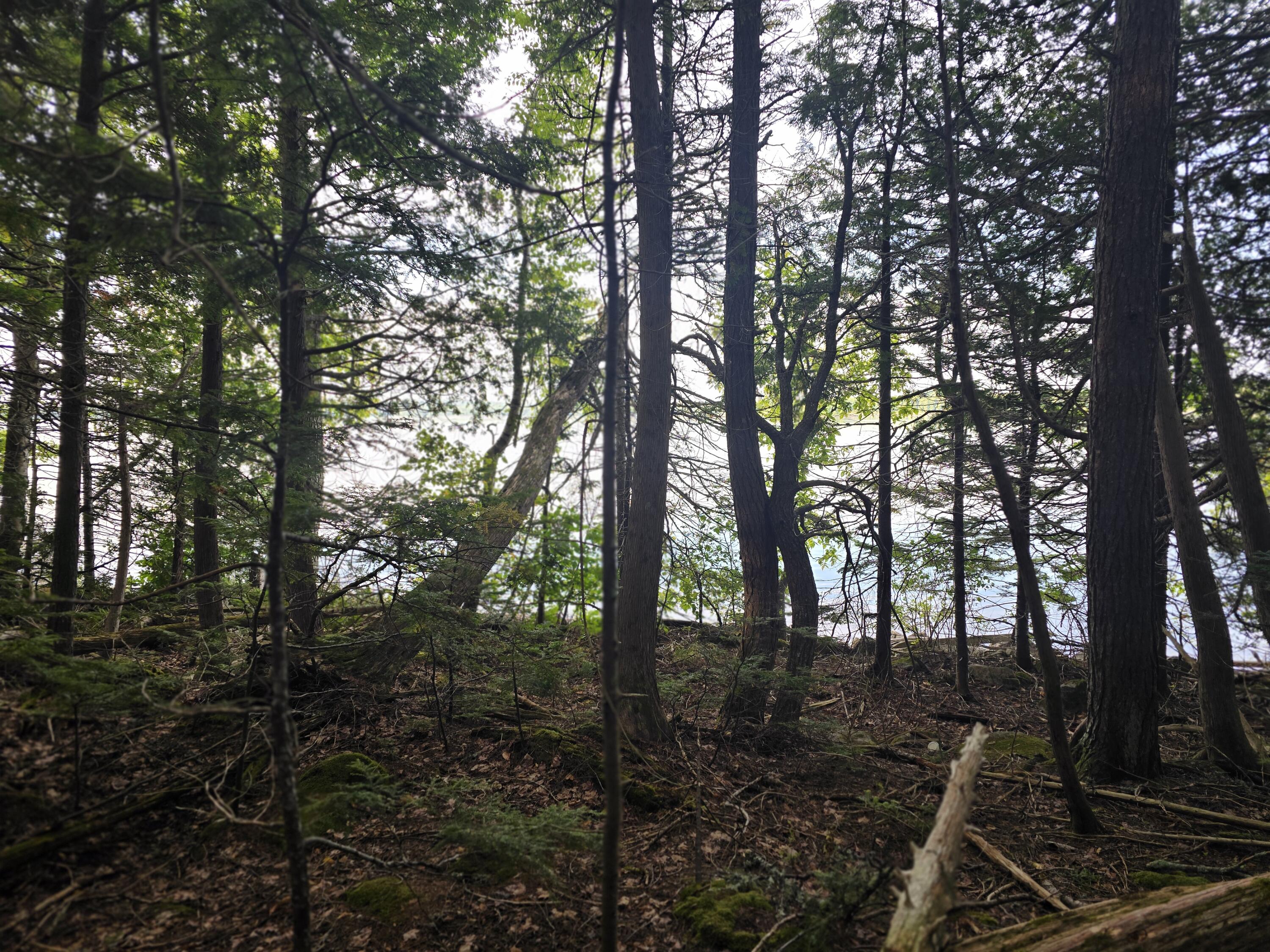 Lot 2 Townline Rock Road Island Falls ME 04747