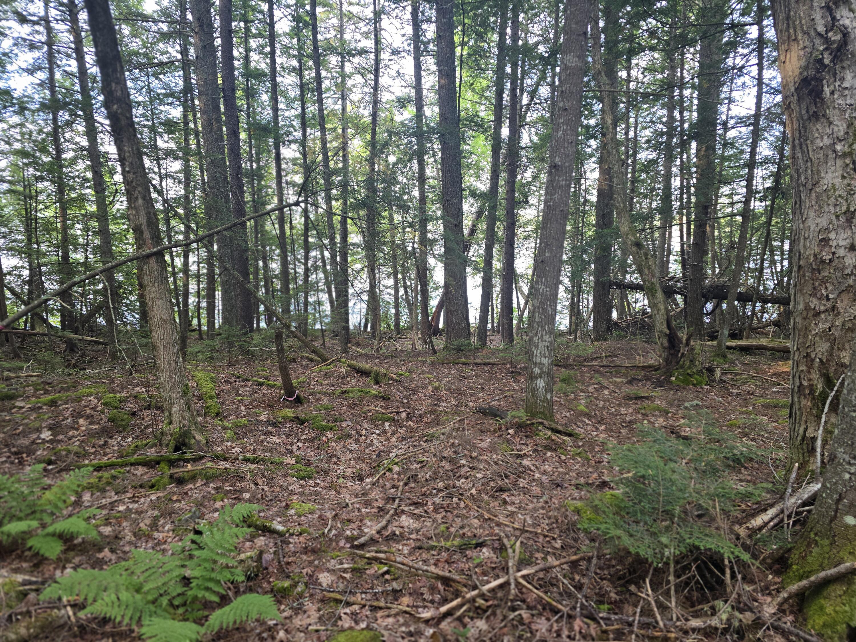 Lot 2 Townline Rock Road Island Falls ME 04747