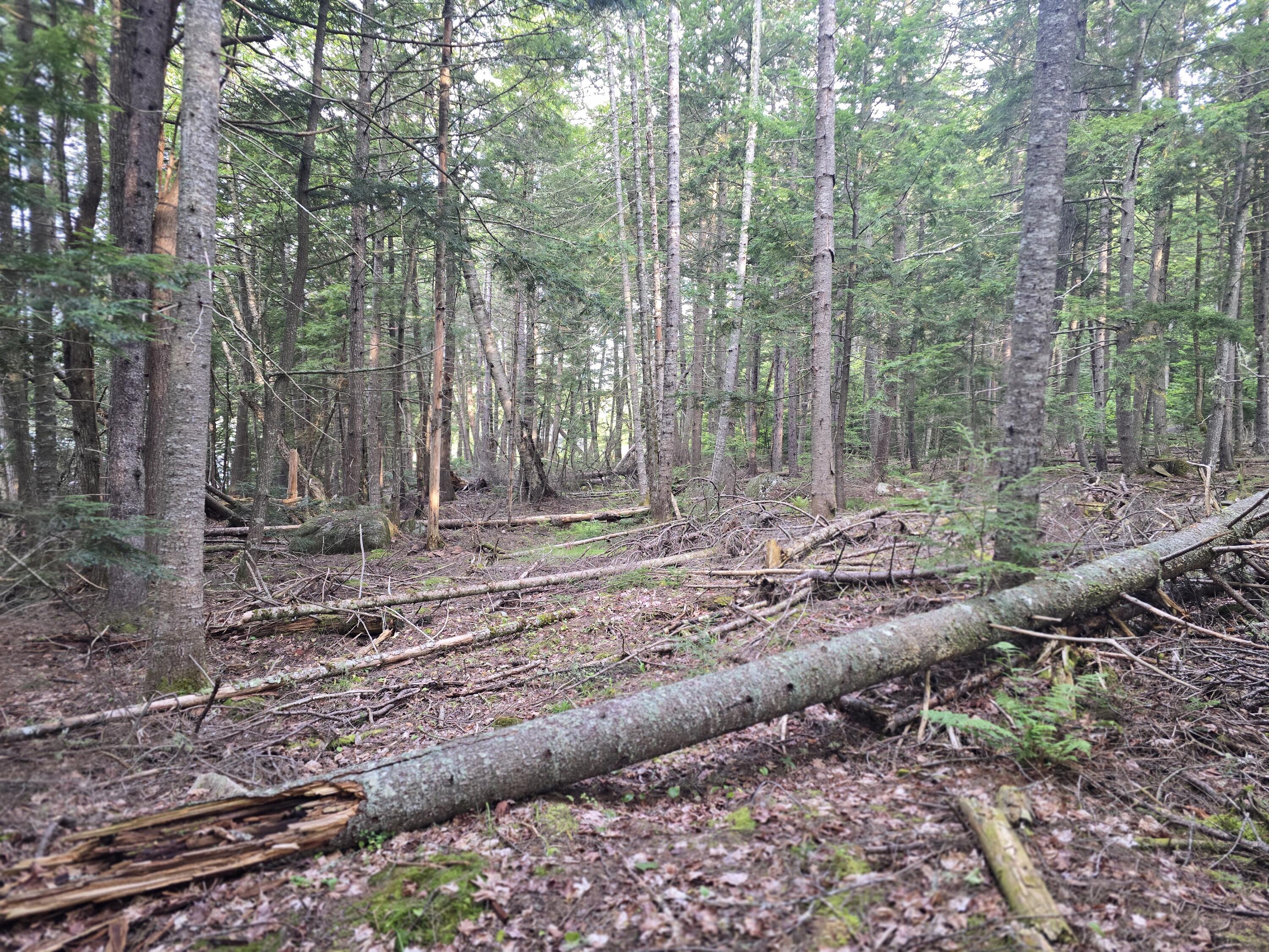 Lot 2 Townline Rock Road Island Falls ME 04747